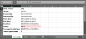 The campaign Excel export file